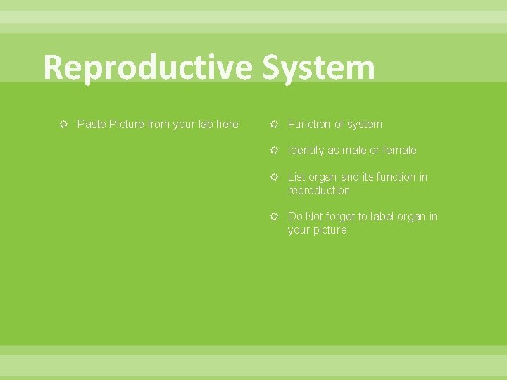 Reproductive System Paste Picture from your lab here Function of system Identify as male