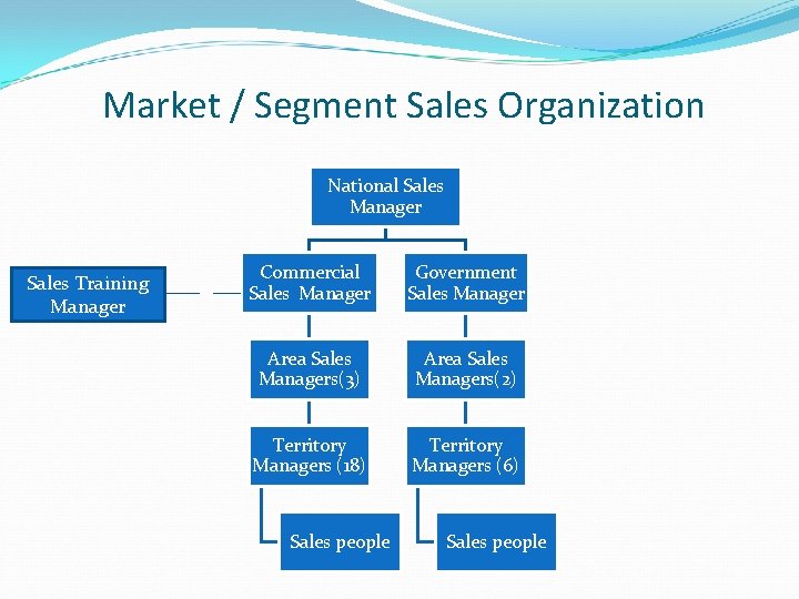 Market / Segment Sales Organization National Sales Manager Sales Training Manager Commercial Sales Manager