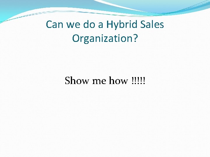 Can we do a Hybrid Sales Organization? Show me how !!!!! 