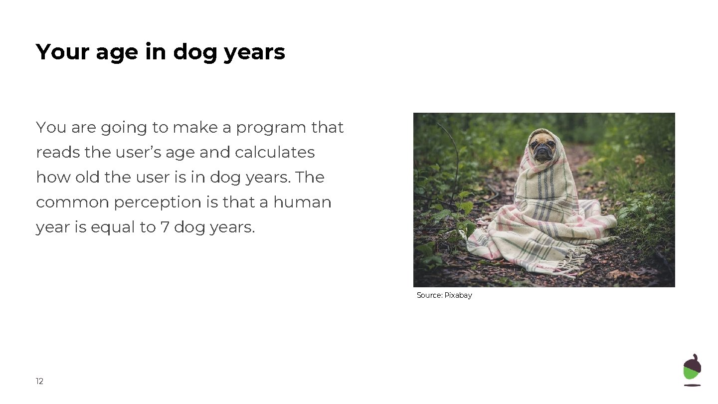 Your age in dog years You are going to make a program that reads