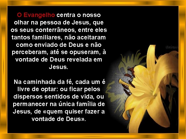 O Evangelho centra o nosso olhar na pessoa de Jesus, que os seus conterrâneos,