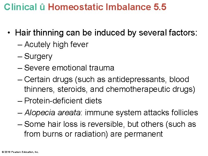 Clinical û Homeostatic Imbalance 5. 5 • Hair thinning can be induced by several