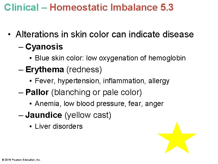 Clinical – Homeostatic Imbalance 5. 3 • Alterations in skin color can indicate disease