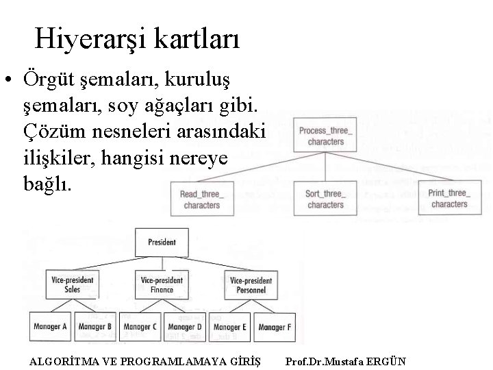 Hiyerarşi kartları • Örgüt şemaları, kuruluş şemaları, soy ağaçları gibi. Çözüm nesneleri arasındaki ilişkiler,