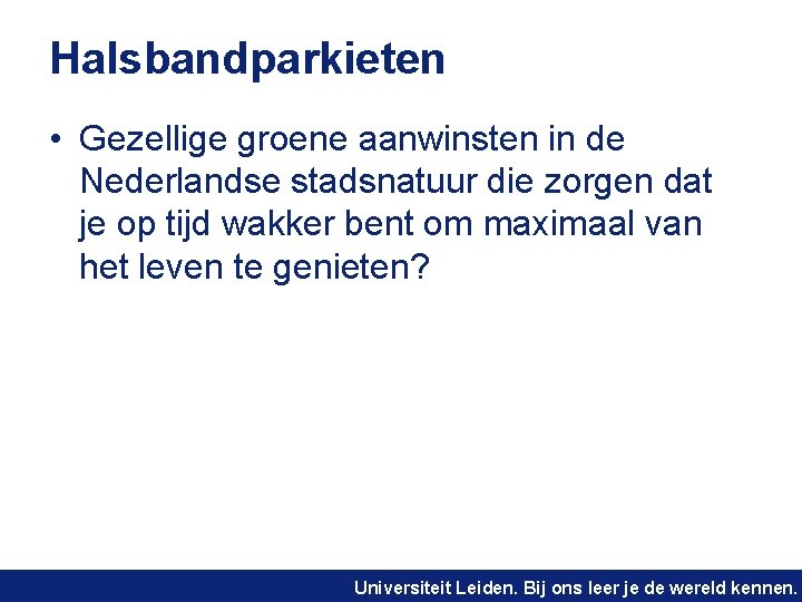 Halsbandparkieten • Gezellige groene aanwinsten in de Nederlandse stadsnatuur die zorgen dat je op