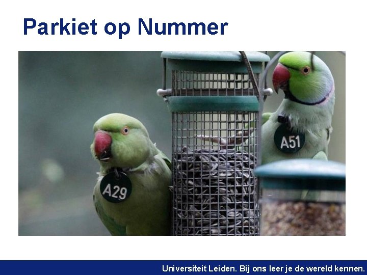 Parkiet op Nummer Universiteit Leiden. Bij ons leer je de wereld kennen. 