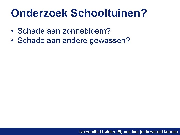Onderzoek Schooltuinen? • Schade aan zonnebloem? • Schade aan andere gewassen? Universiteit Leiden. Bij
