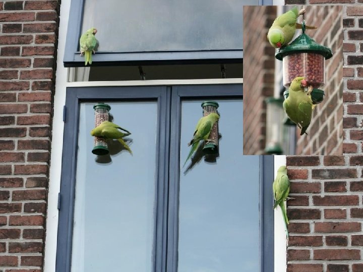 Universiteit Leiden. Bij ons leer je de wereld kennen. 