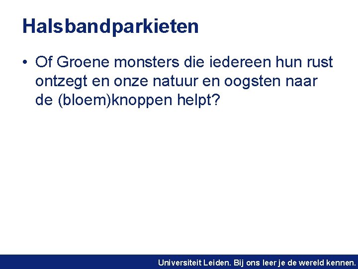 Halsbandparkieten • Of Groene monsters die iedereen hun rust ontzegt en onze natuur en