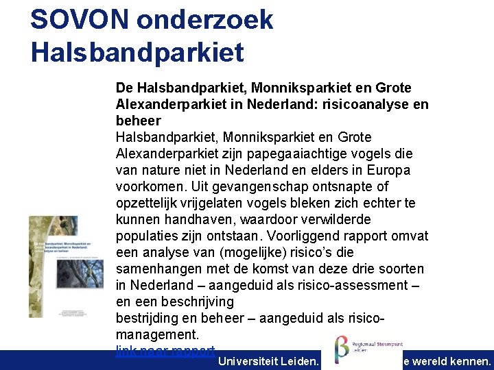 SOVON onderzoek Halsbandparkiet De Halsbandparkiet, Monniksparkiet en Grote Alexanderparkiet in Nederland: risicoanalyse en beheer