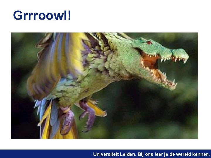 Grrroowl! Universiteit Leiden. Bij ons leer je de wereld kennen. 