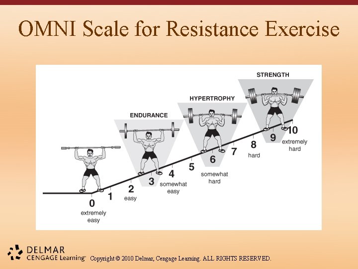 OMNI Scale for Resistance Exercise Copyright © 2010 Delmar, Cengage Learning. ALL RIGHTS RESERVED.