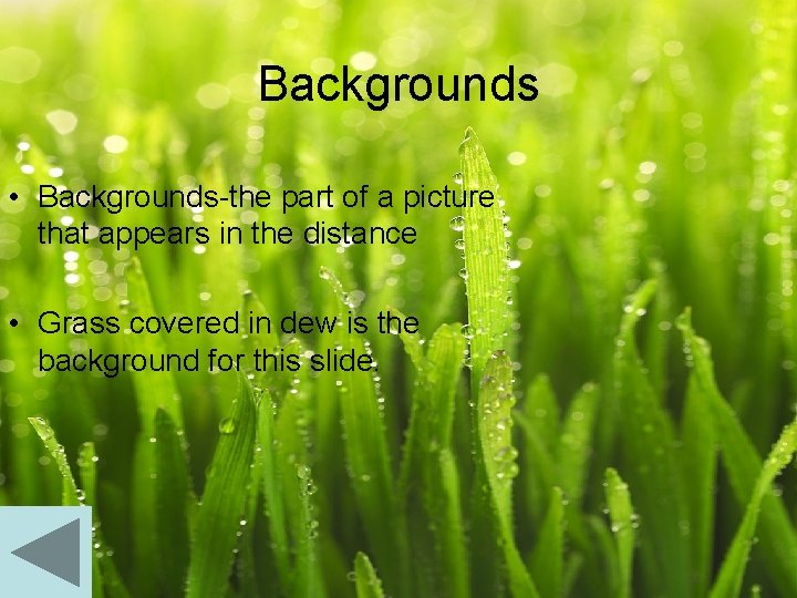Backgrounds • Backgrounds-the part of a picture that appears in the distance • Grass