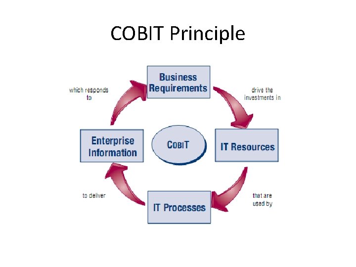 COBIT Principle 