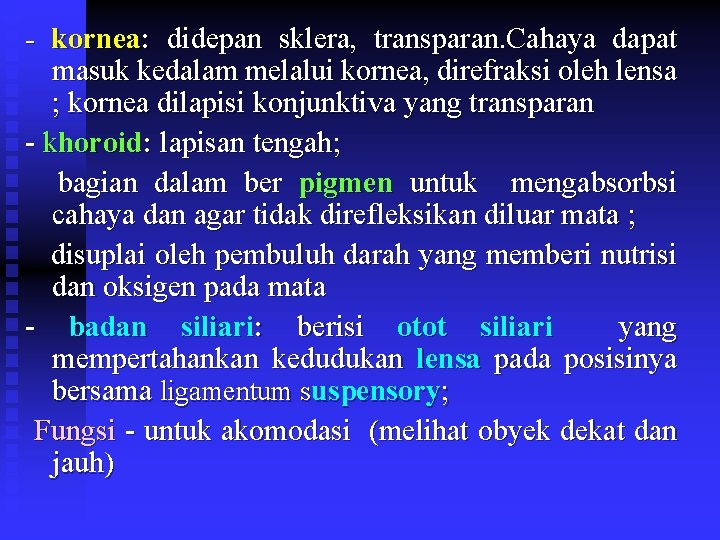 - kornea: didepan sklera, transparan. Cahaya dapat masuk kedalam melalui kornea, direfraksi oleh lensa