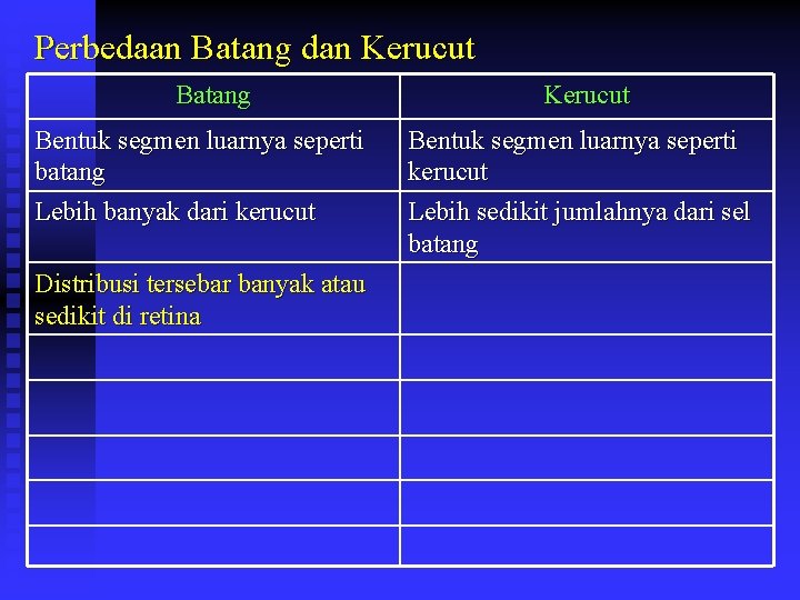 Perbedaan Batang dan Kerucut Batang Bentuk segmen luarnya seperti batang Lebih banyak dari kerucut