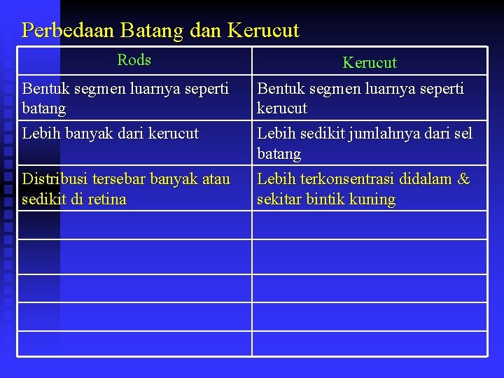 Perbedaan Batang dan Kerucut Rods Bentuk segmen luarnya seperti batang Lebih banyak dari kerucut