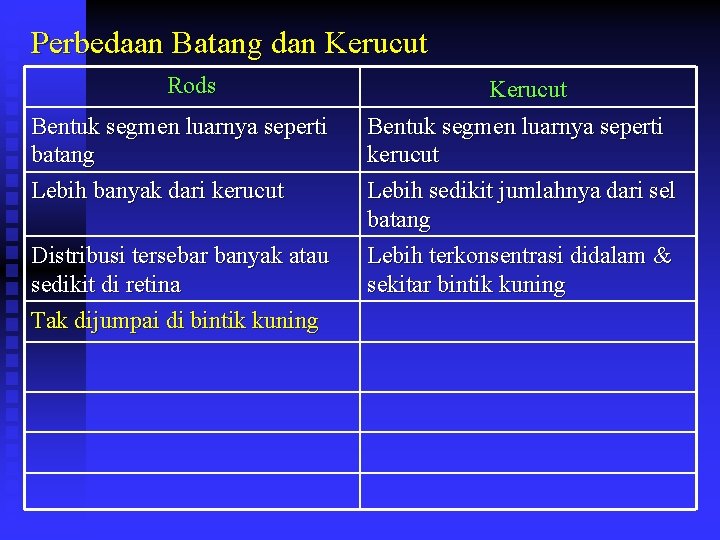 Perbedaan Batang dan Kerucut Rods Bentuk segmen luarnya seperti batang Lebih banyak dari kerucut