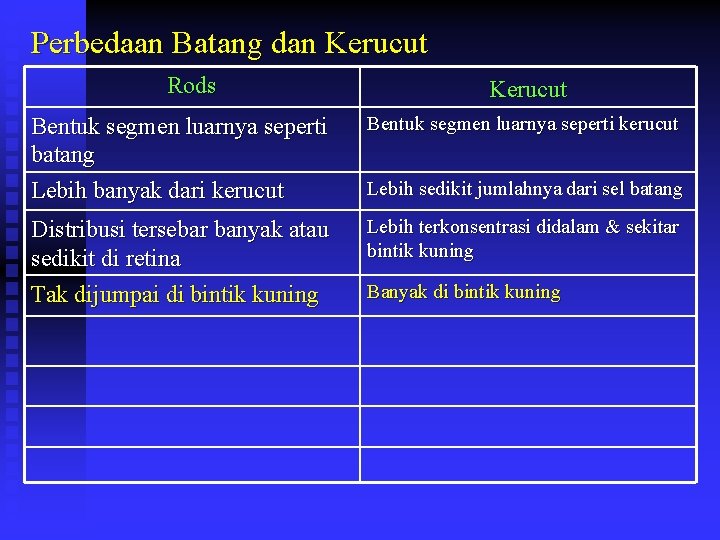 Perbedaan Batang dan Kerucut Rods Kerucut Bentuk segmen luarnya seperti batang Lebih banyak dari