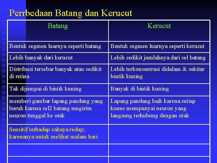 Perrbedaan Batang dan Kerucut Batang Kerucut Bentuk segmen luarnya seperti batang Bentuk segmen luarnya