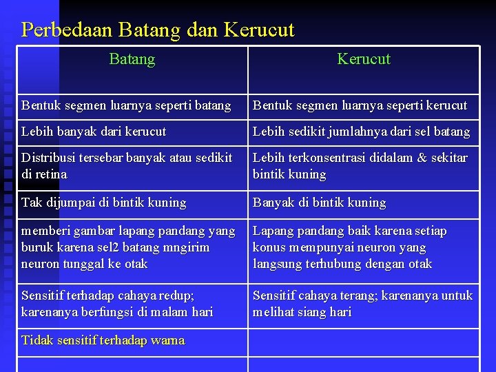 Perbedaan Batang dan Kerucut Batang Kerucut Bentuk segmen luarnya seperti batang Bentuk segmen luarnya