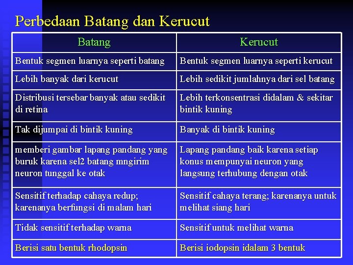 Perbedaan Batang dan Kerucut Batang Kerucut Bentuk segmen luarnya seperti batang Bentuk segmen luarnya