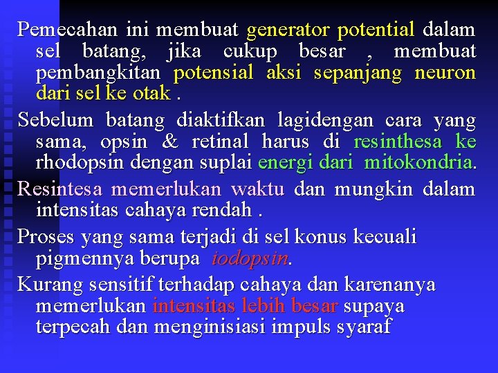 Pemecahan ini membuat generator potential dalam sel batang, jika cukup besar , membuat pembangkitan