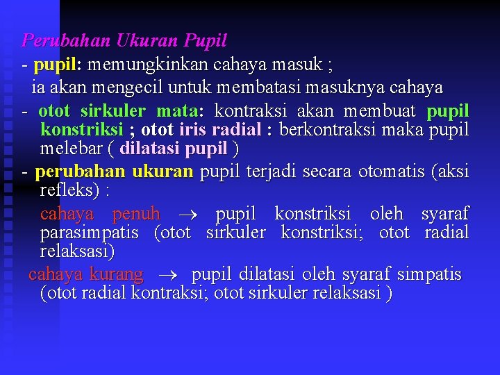 Perubahan Ukuran Pupil - pupil: memungkinkan cahaya masuk ; ia akan mengecil untuk membatasi