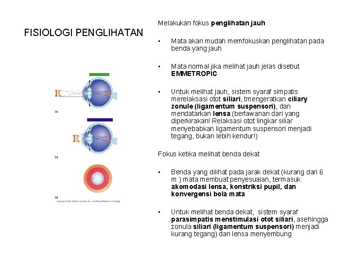 Melakukan fokus penglihatan jauh FISIOLOGI PENGLIHATAN • Mata akan mudah memfokuskan penglihatan pada benda