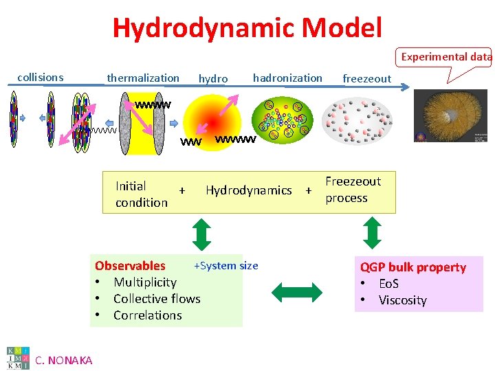 Hydrodynamic Model Experimental data collisions thermalization Initial + condition hydro hadronization Hydrodynamics + +System