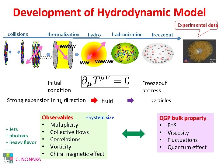 Development of Hydrodynamic Model Experimental data collisions thermalization hydro hadronization Initial condition Strong expansion