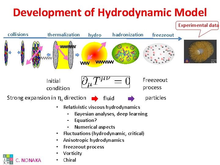 Development of Hydrodynamic Model Experimental data collisions thermalization hydro hadronization Freezeout process Initial condition