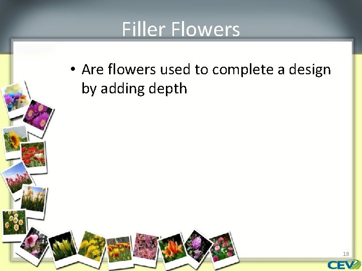 Filler Flowers • Are flowers used to complete a design by adding depth 18
