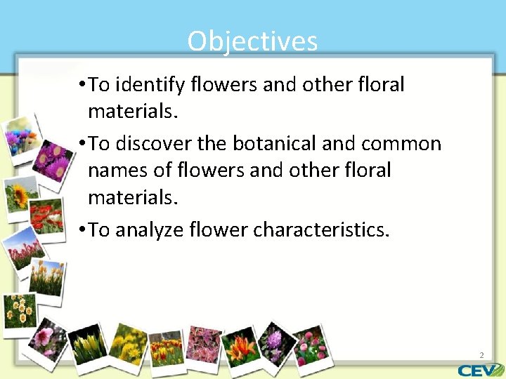 Objectives • To identify flowers and other floral materials. • To discover the botanical