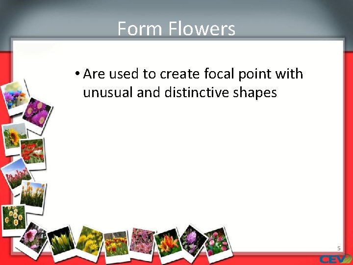 Form Flowers • Are used to create focal point with unusual and distinctive shapes