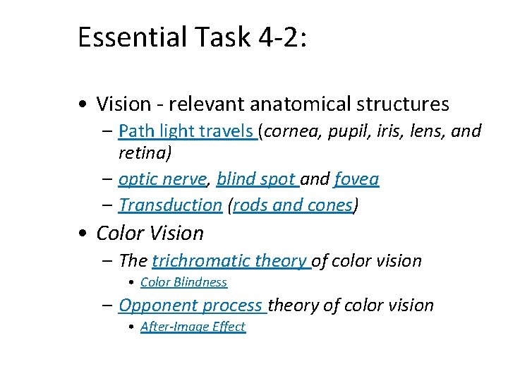 Essential Task 4 -2: • Vision - relevant anatomical structures – Path light travels