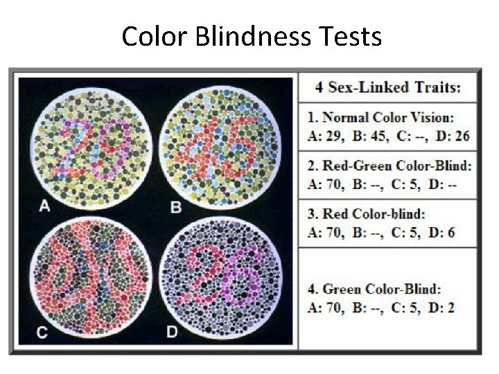 Color Blindness Tests 