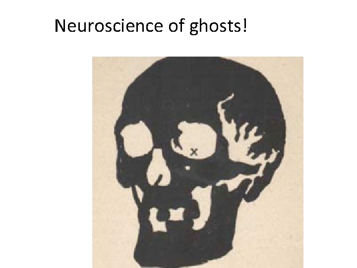 Neuroscience of ghosts! 