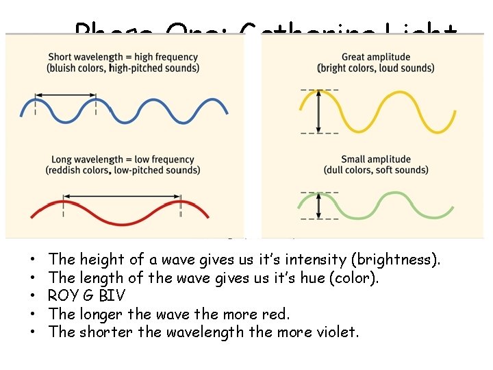 Phase One: Gathering Light • • • The height of a wave gives us