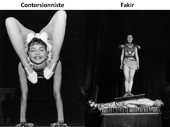 Contorsionniste Fakir 