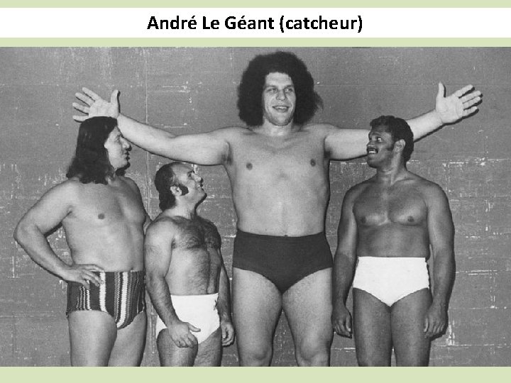 André Le Géant (catcheur) 