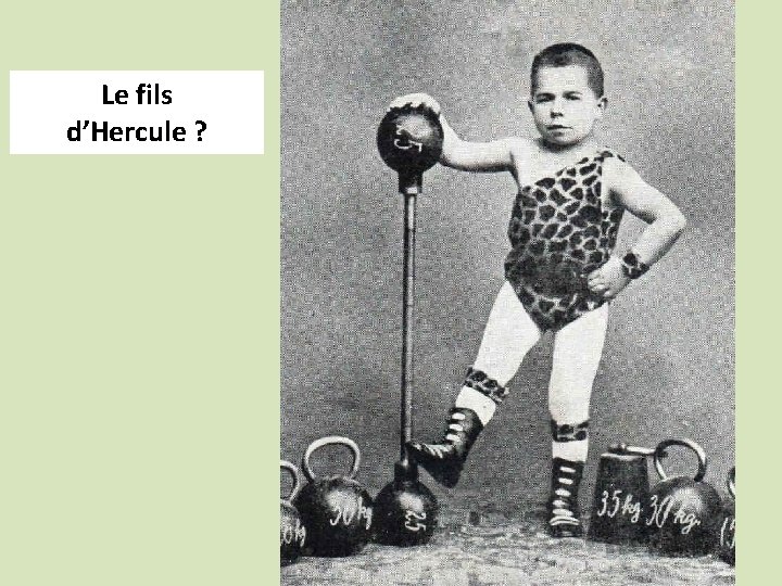 Le fils d’Hercule ? 