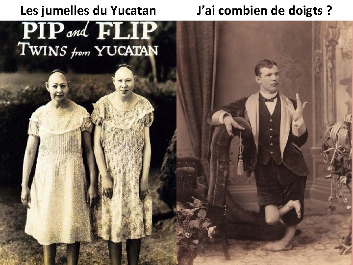 Les jumelles du Yucatan J’ai combien de doigts ? 