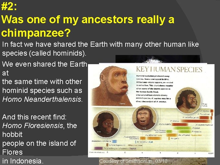 #2: Was one of my ancestors really a chimpanzee? In fact we have shared