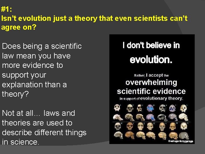 #1: Isn’t evolution just a theory that even scientists can’t agree on? Does being