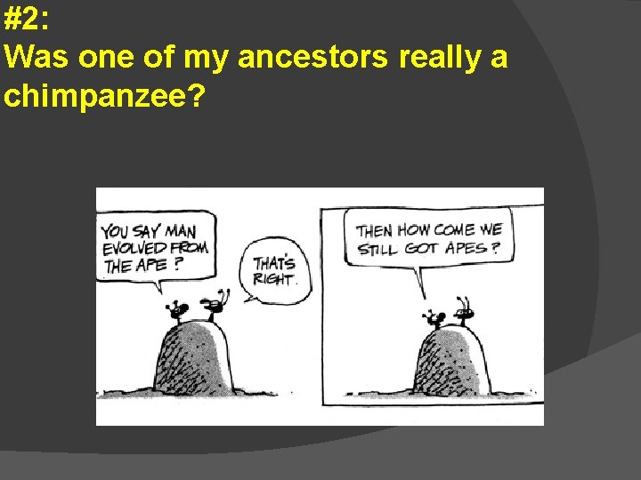 #2: Was one of my ancestors really a chimpanzee? 