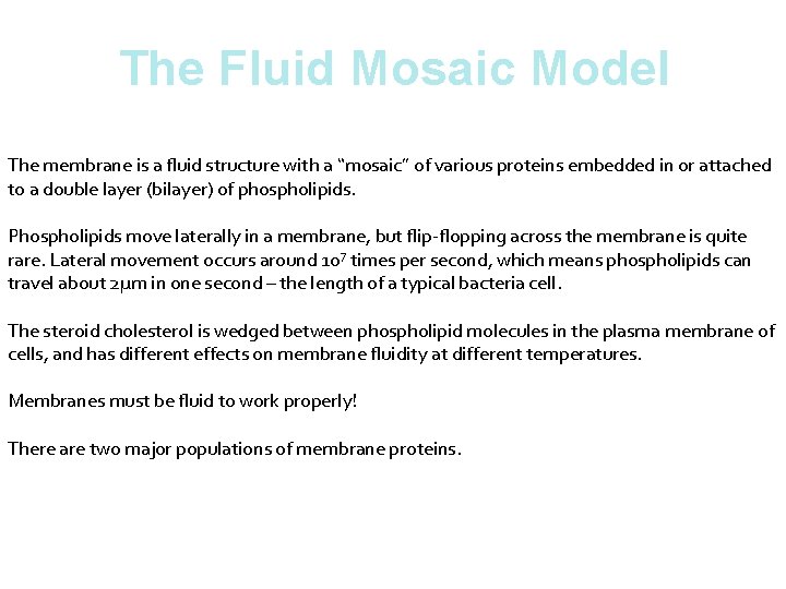 The Fluid Mosaic Model The membrane is a fluid structure with a “mosaic” of