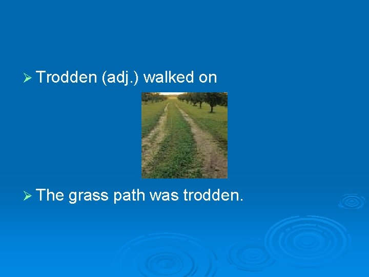 Ø Trodden (adj. ) walked on Ø The grass path was trodden. 