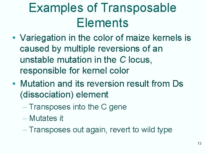 Examples of Transposable Elements • Variegation in the color of maize kernels is caused