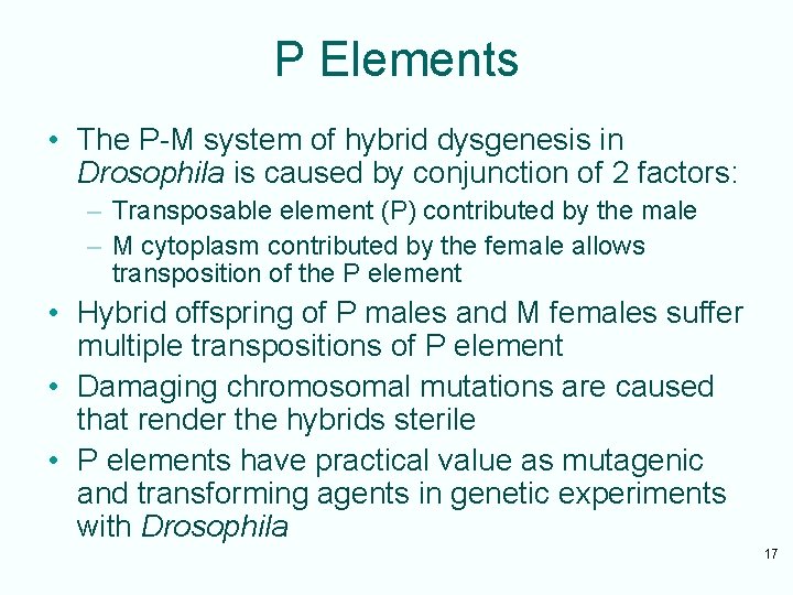 P Elements • The P-M system of hybrid dysgenesis in Drosophila is caused by